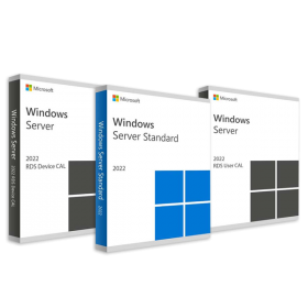 SERVER PACKAGE WITH 2022 STANDARD LICENSE AND CALS