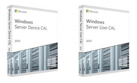 What are CAL licenses | Macrosoft